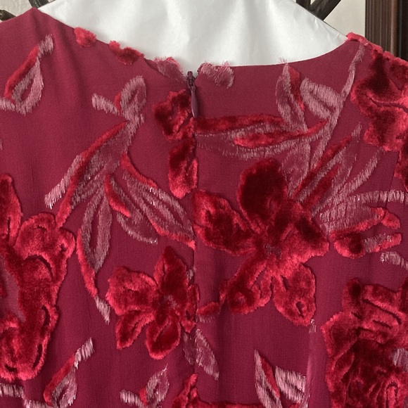 Erdem Carwen Dress 2018 Velvet Voile Jacquar Raspberry Size 6 - Picture 13 of 16